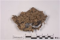 藏品(石紋梅衣)的圖片